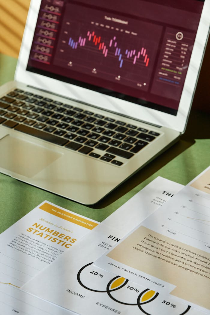 Close-up of financial documents and a laptop displaying graphs, perfect for business analysis.